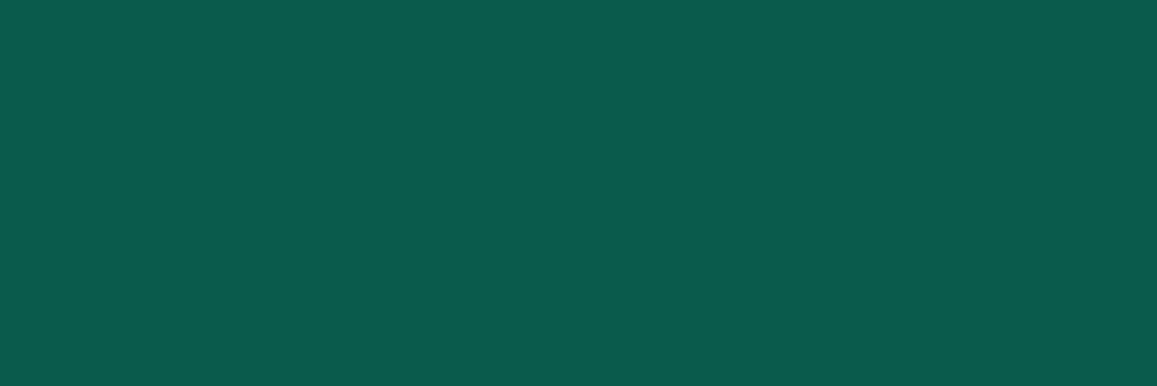 Vexus's banner