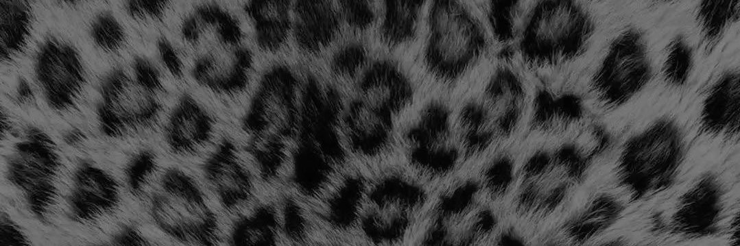daya ♡'s banner