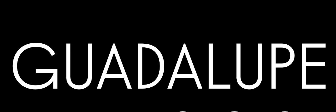 Guadalupe em Foco's banner
