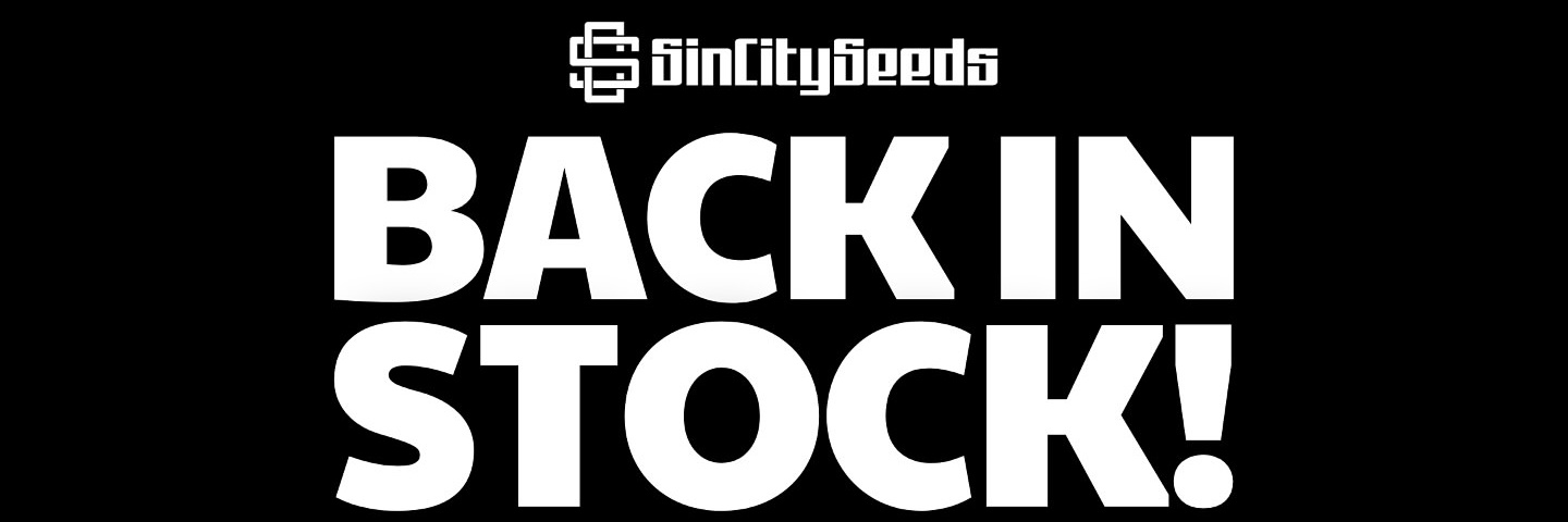 sincity seeds's banner