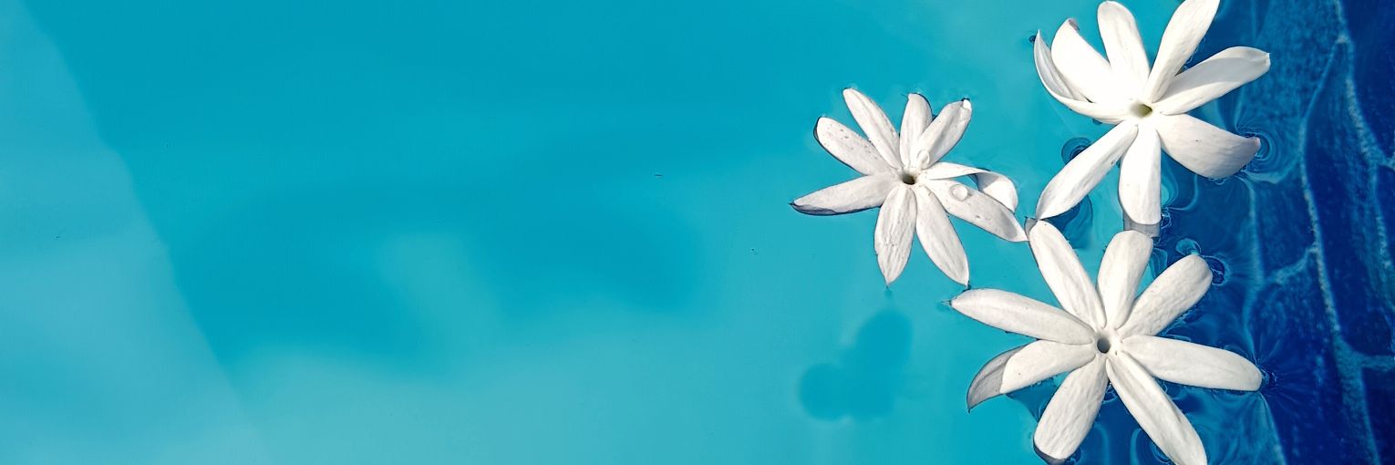 ⊙⊝⊜ doracake's banner