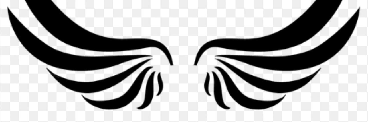 Angel divulgador 👼's banner