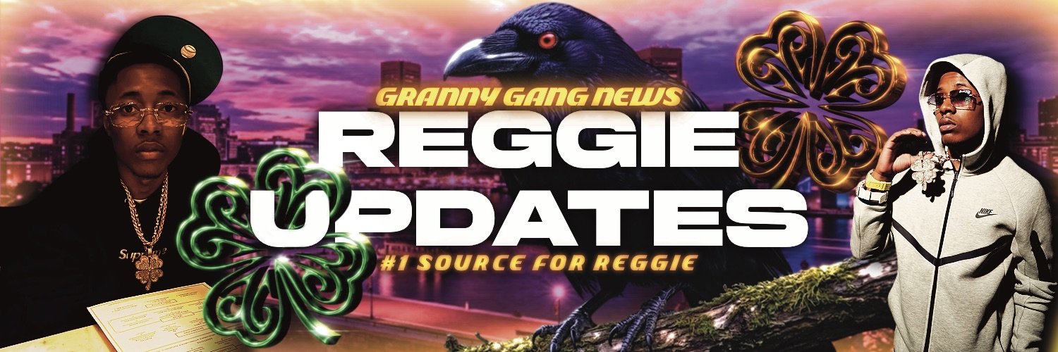 ReggieUpdate 🛰️'s banner