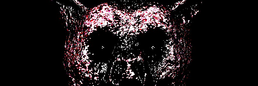 FUNHOUSE's banner