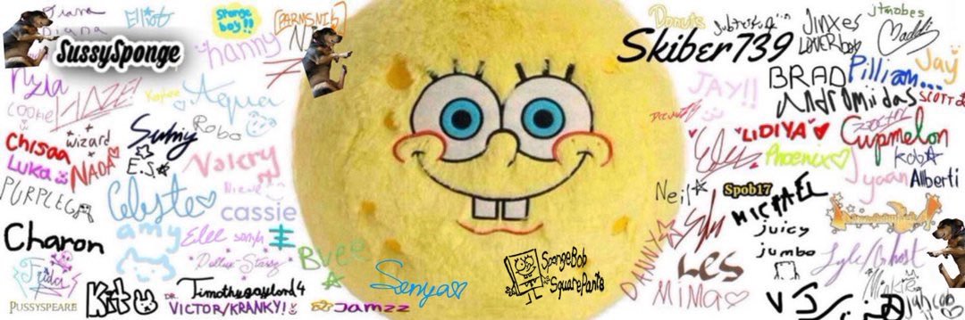 spong's banner