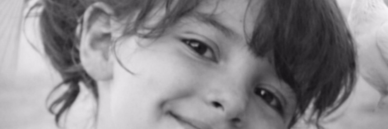 shahin's banner