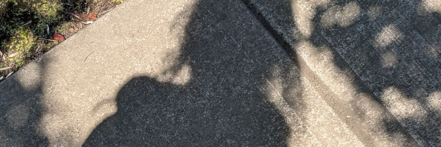 just a girl's banner