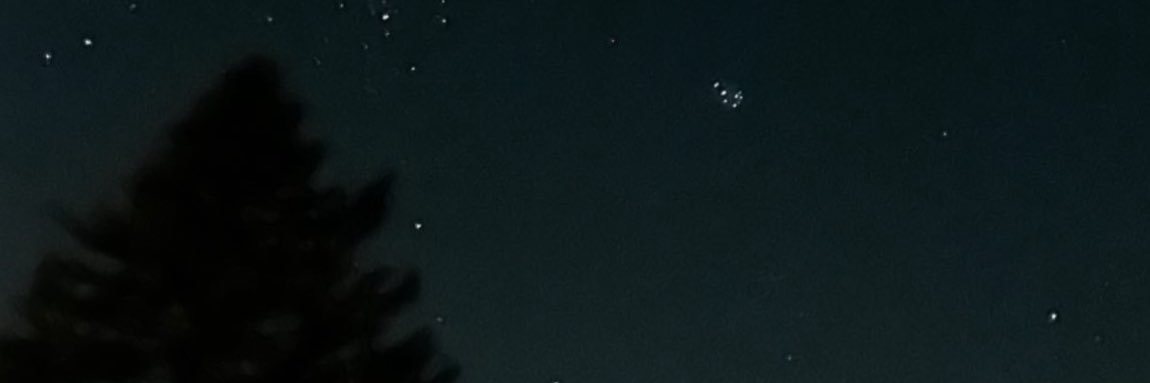 shy🔞⭐️'s banner