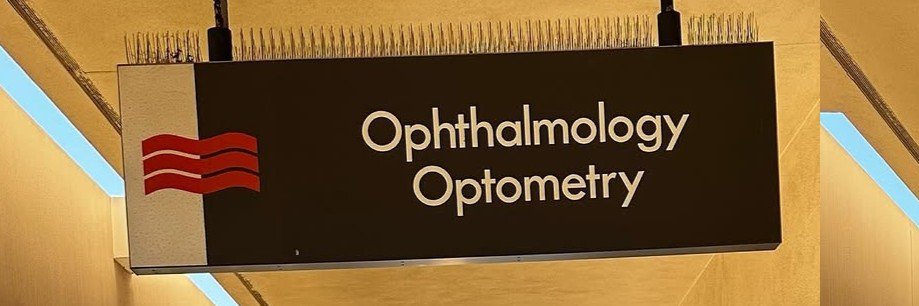 Eye pundit 🔝's banner