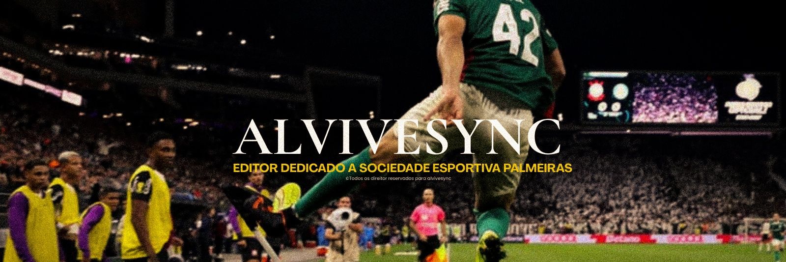 alvivesync's banner