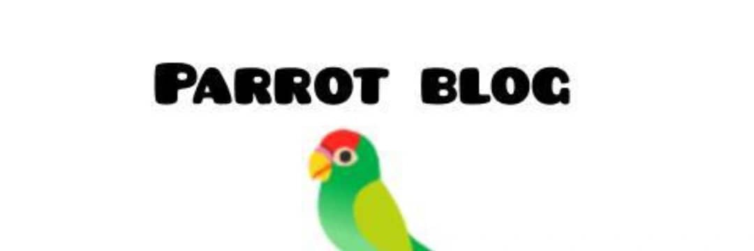 IAM__PARROTBLOG_MARLIANS👿🏴‍☠️'s banner