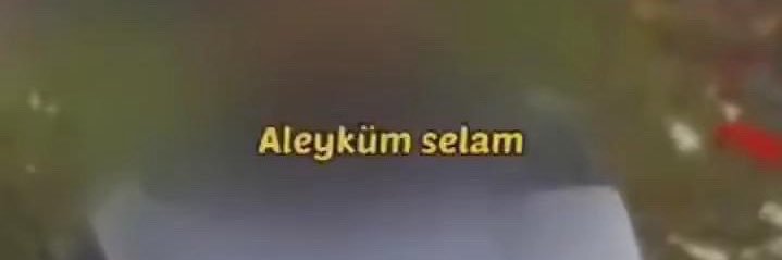 tistik merim's banner