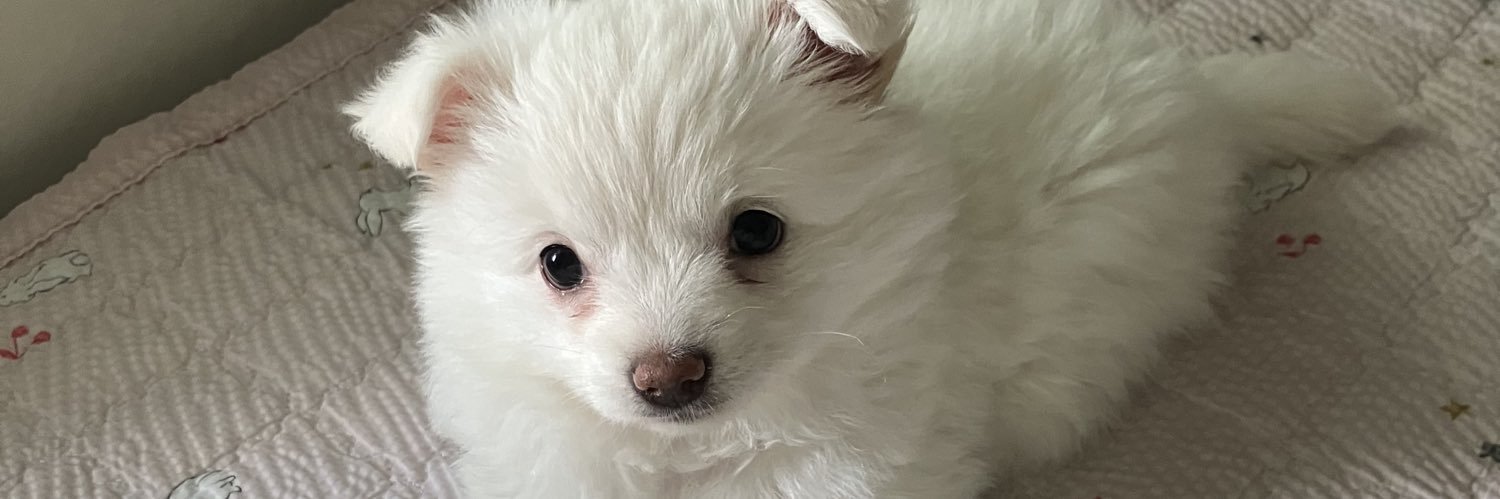 우리 떼꽁이's banner