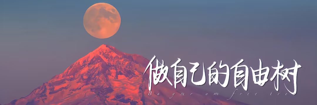不过些许风霜's banner
