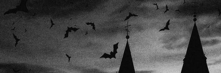 🦇's banner