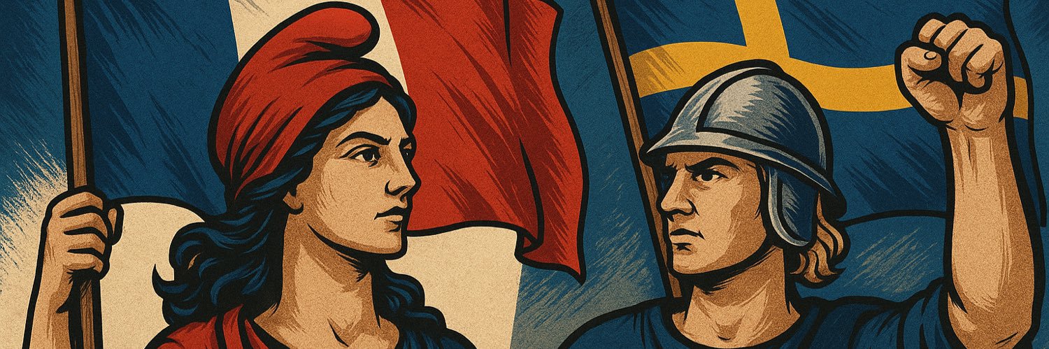 Brice 🇫🇷🇸🇪's banner