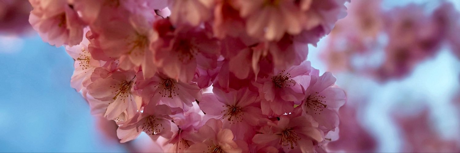 Itsisasato's banner
