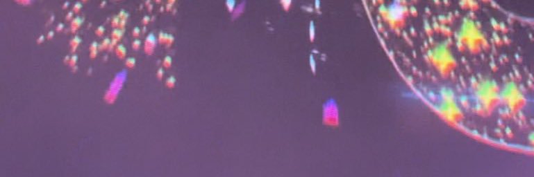 ni's banner
