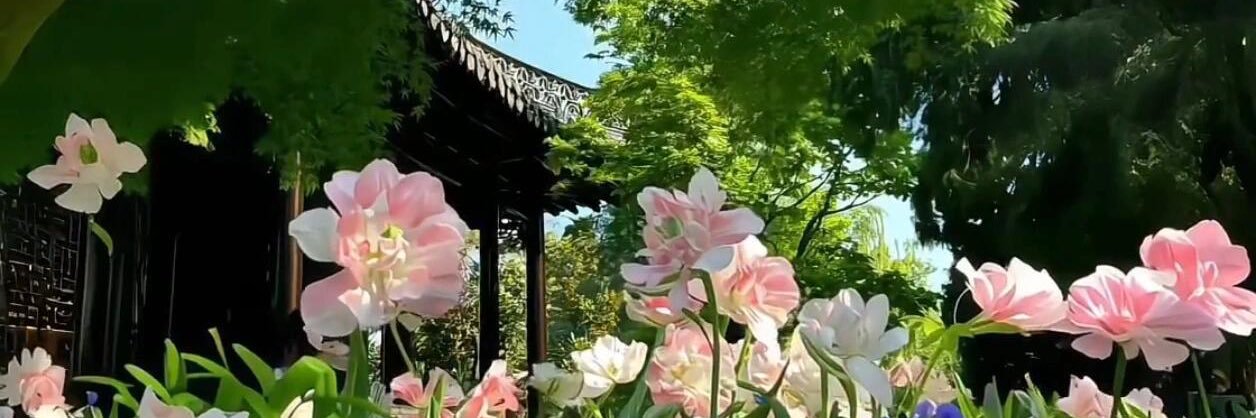 李可乐乐（出原）青岛s's banner