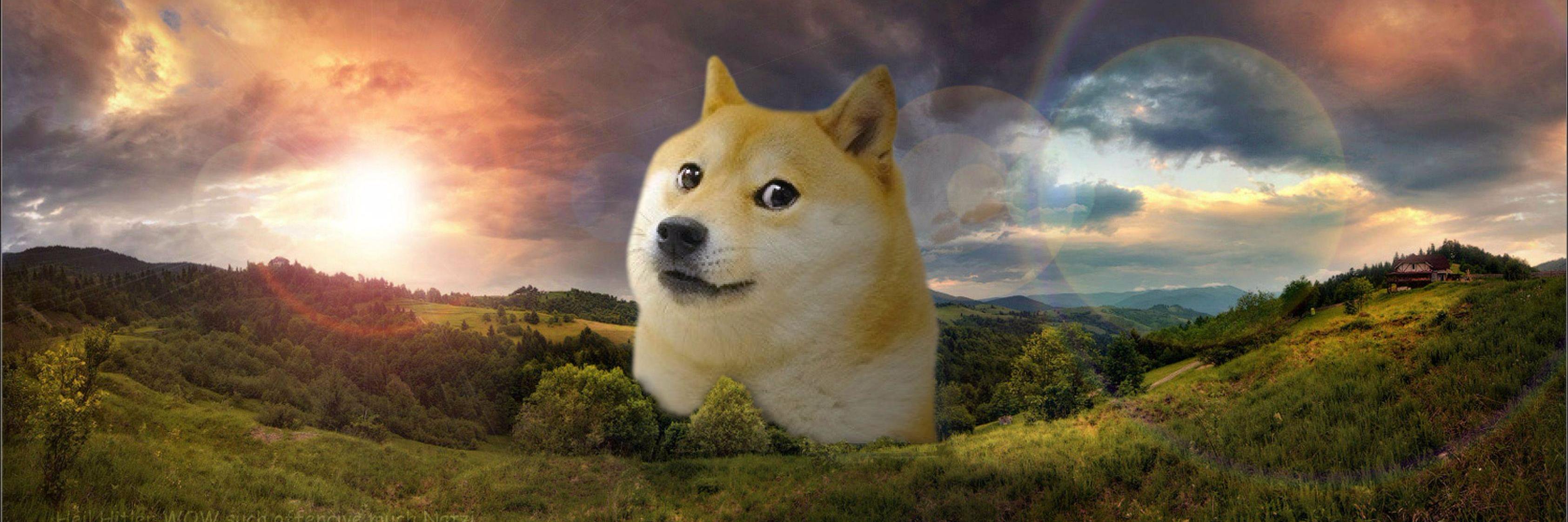 HappyCat's banner