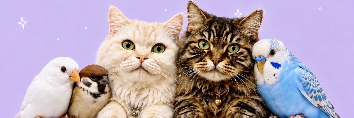 るみな😼🐣🐈🕊️🦜ゆるっと〜！💜's banner