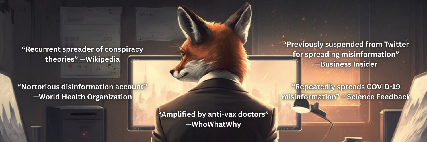 The Vigilant Fox 🦊's banner