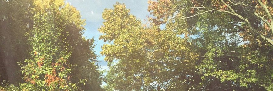 ౨ৎ faith / mateo's banner