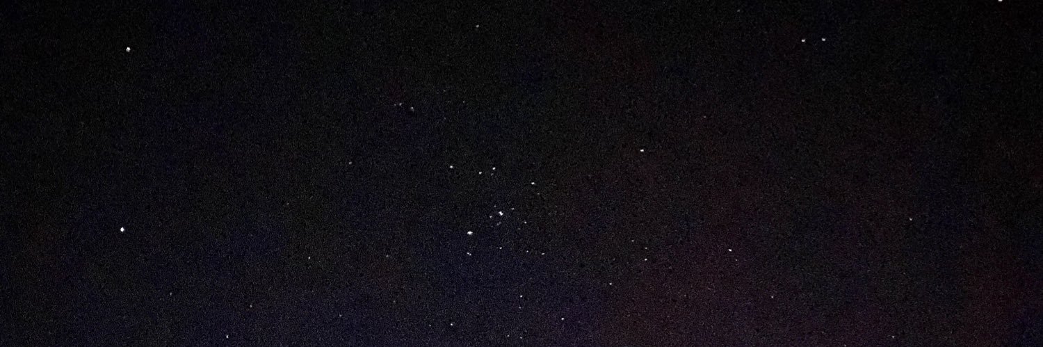 Susanª🌙's banner