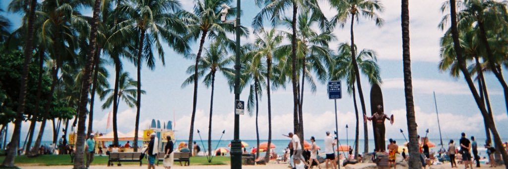 高橋有紀's banner