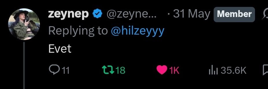 hilzoktay🦢's banner