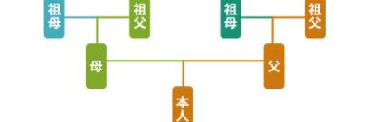 ガリガリガリクソンスーパーフェニックス's banner