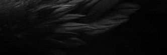 إبو riah's banner