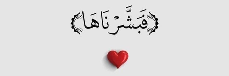 𝒩𝒪𝒪𝒪ℛ's banner