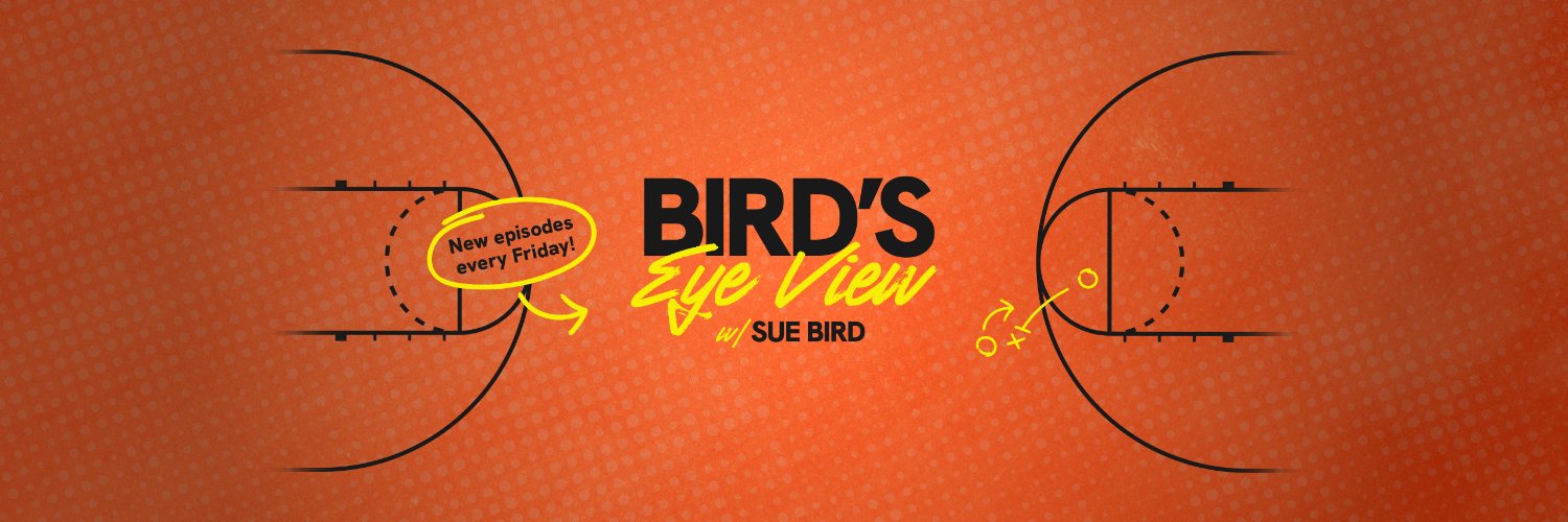 Bird’s Eye View's banner