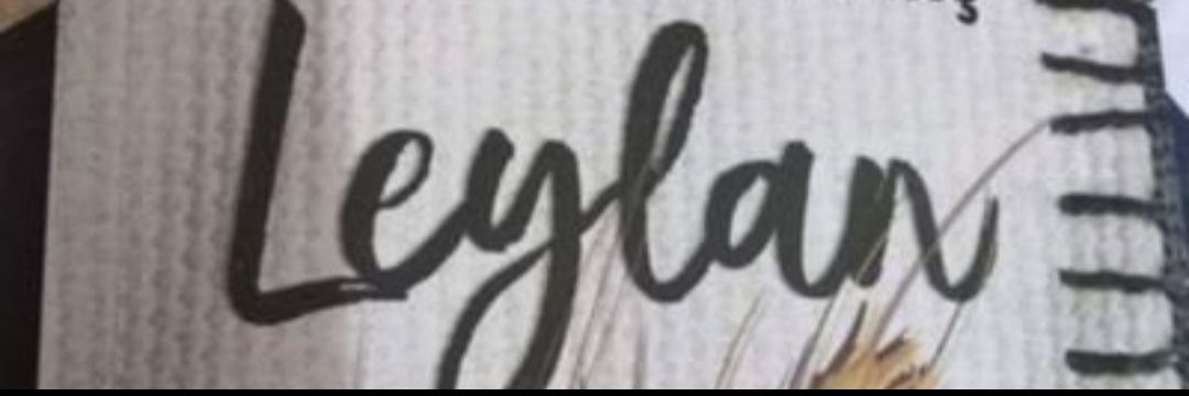LeylaPeker's banner