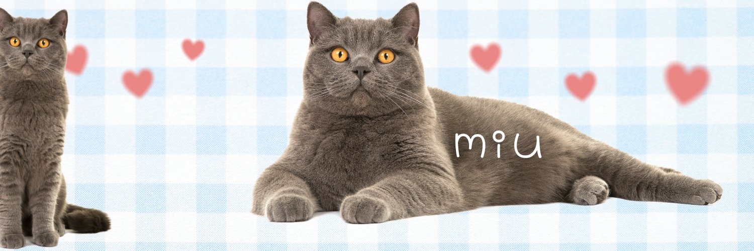 みうのあそびばしょ's banner