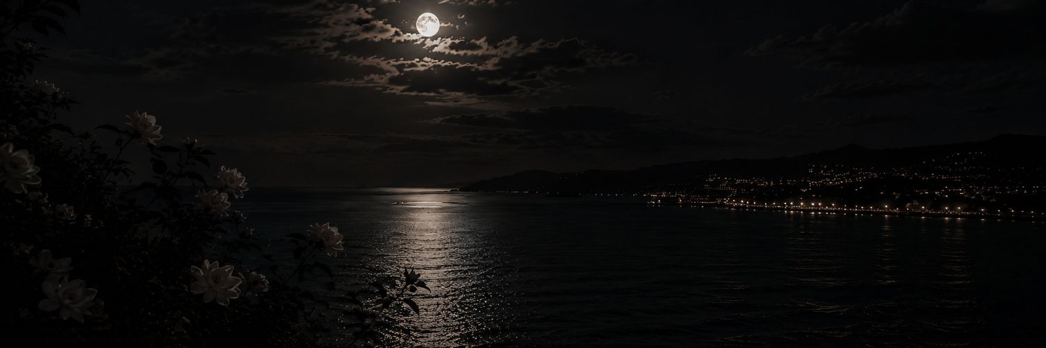 سكون's banner