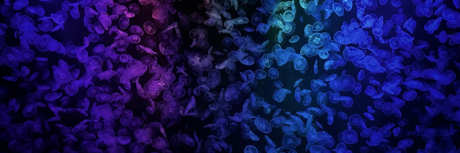 蛋蓝's banner