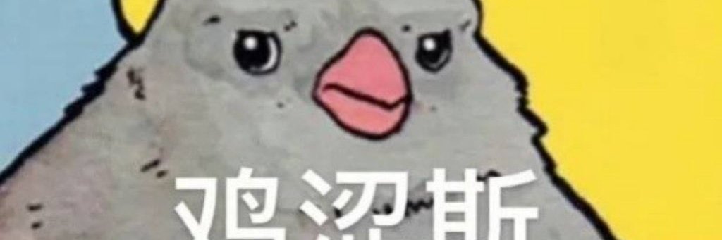 鸡哥's banner
