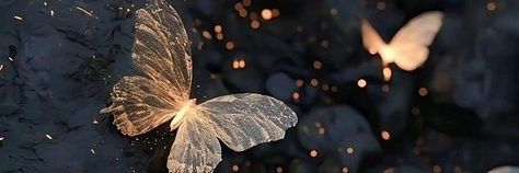 Akku 🌼's banner