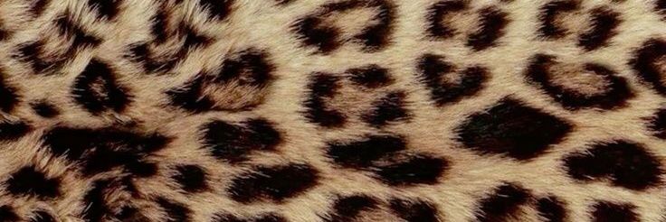 tartolet's banner