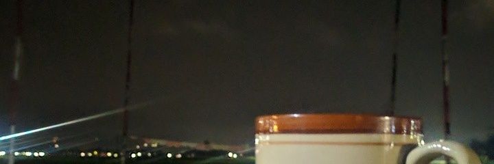 IndoVibesUSA's banner
