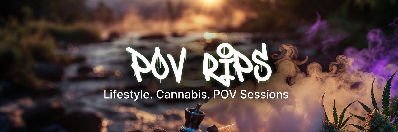 POV rips's banner