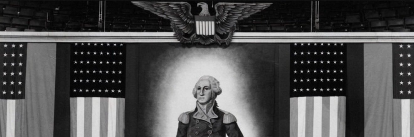THE TRUE 🇺🇸's banner
