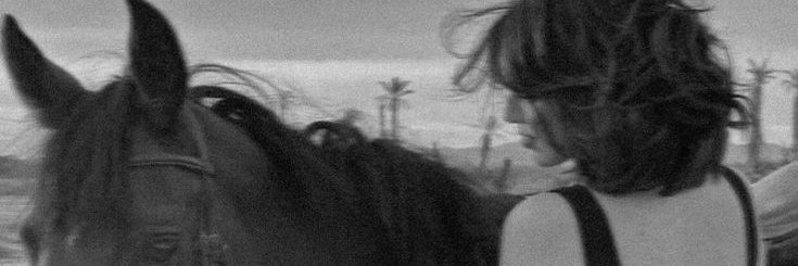 ✧'s banner