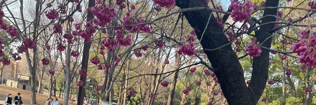彼女自慢's banner