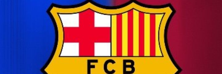 Hamza Abdelkarim's banner