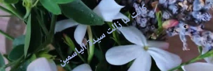 .jwzfyn.🤍.Sy's banner
