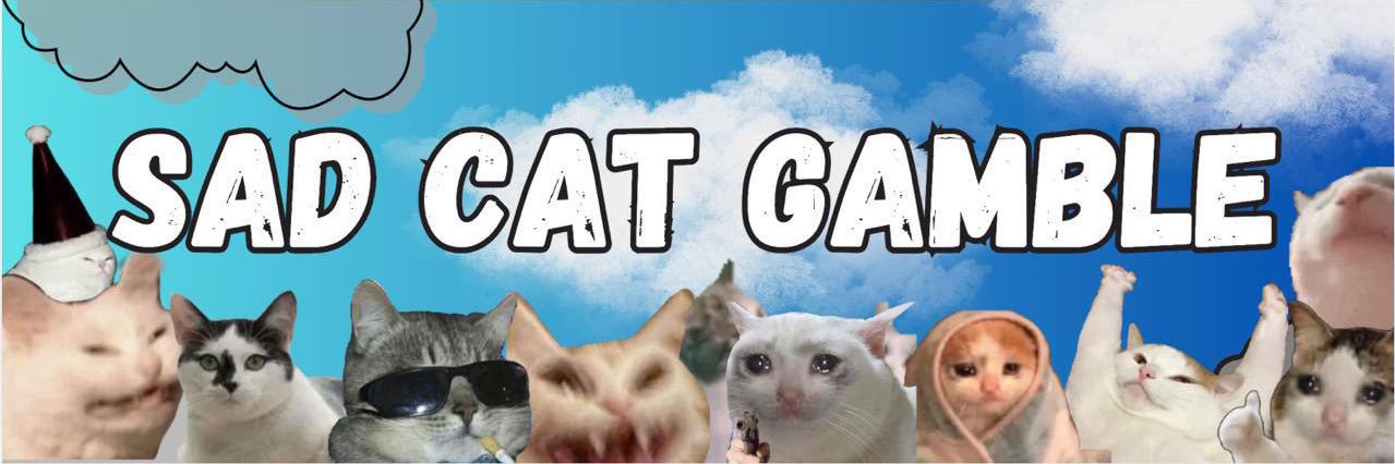 0хSadcat 🦉's banner