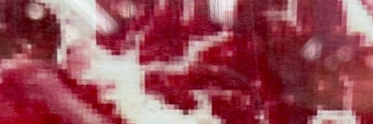 ②知恵ちゃん②'s banner
